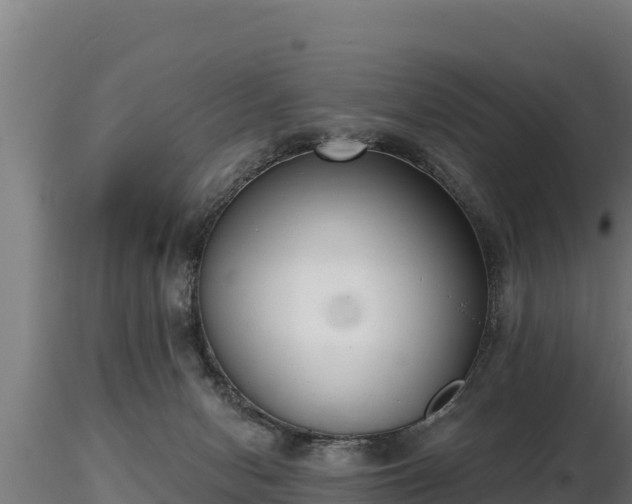 X0000116770078200912241212