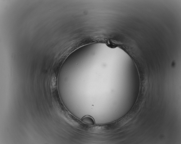 X0000116770081200912241212