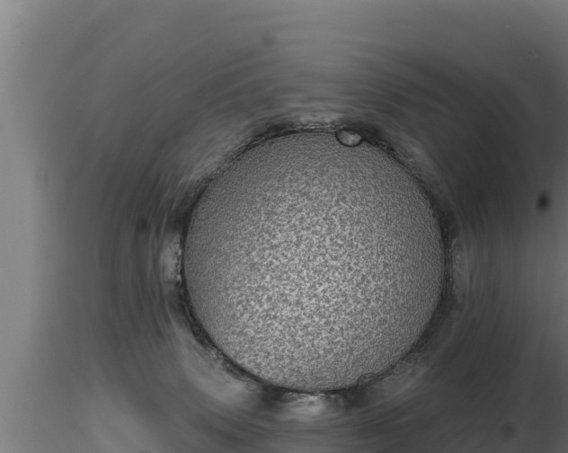 X0000116770083200912241212