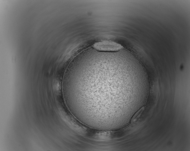 X0000116770084200912241212