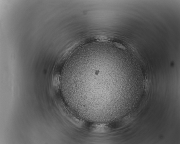 X0000116770093200912241213