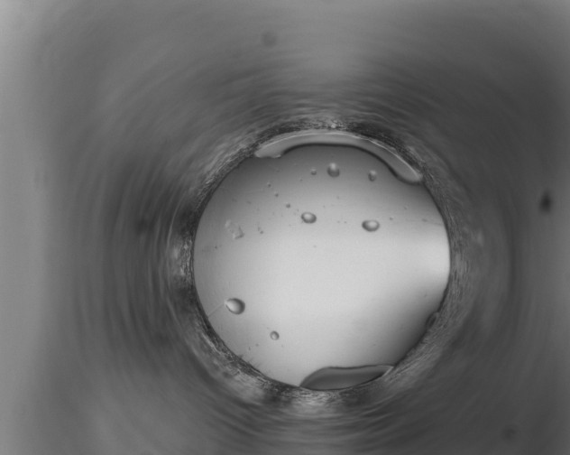X0000116770096200912241213