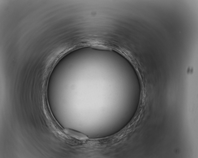 X0000116770097200912241212