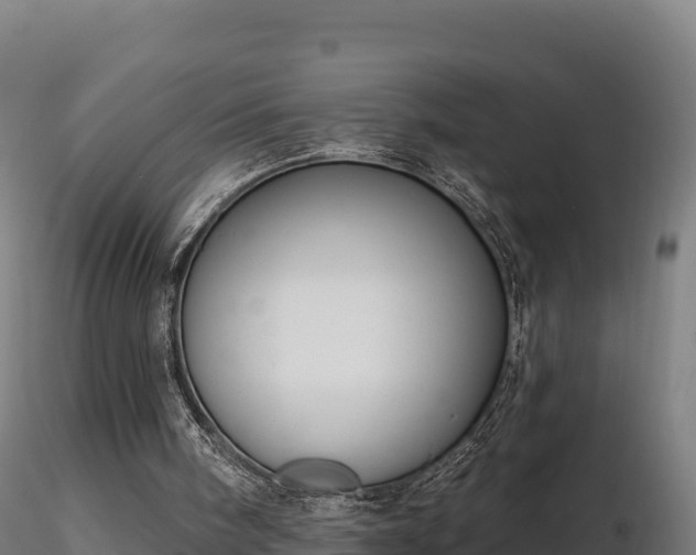 X0000116770098200912241212