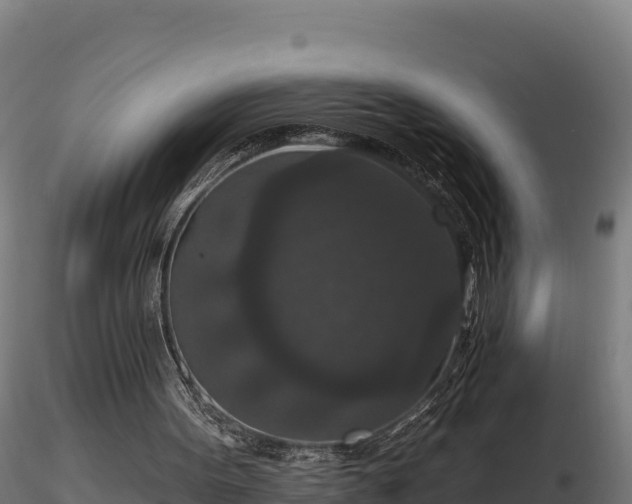 X0000116770099200912241212