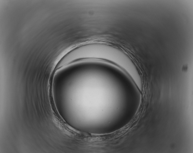 X0000116770100200912241212
