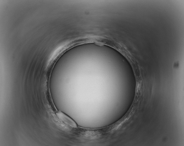 X0000116770101200912241212