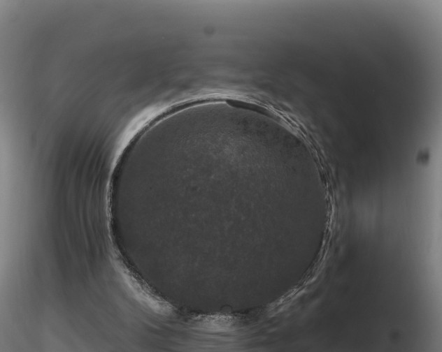 X0000116770104200912241212