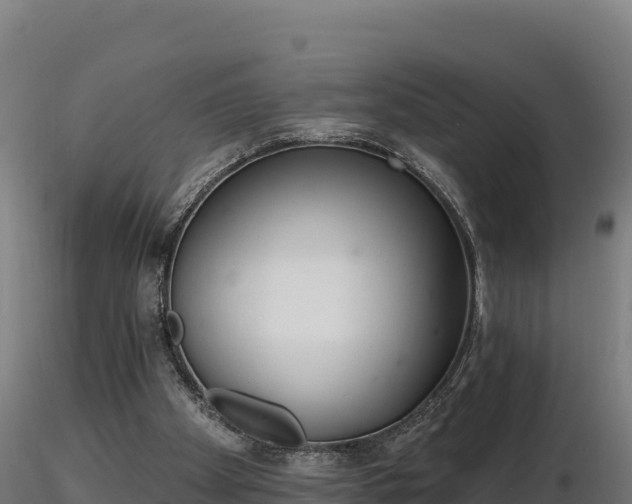 X0000116770105200912241212
