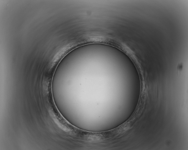X0000116770106200912241212