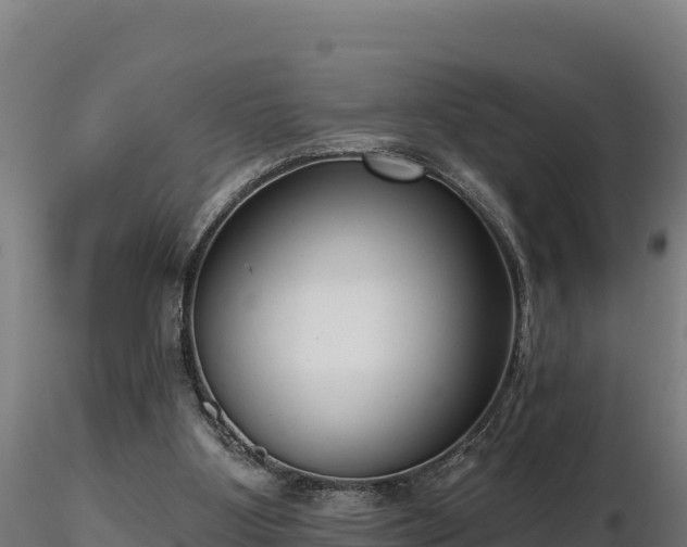 X0000116770107200912241212