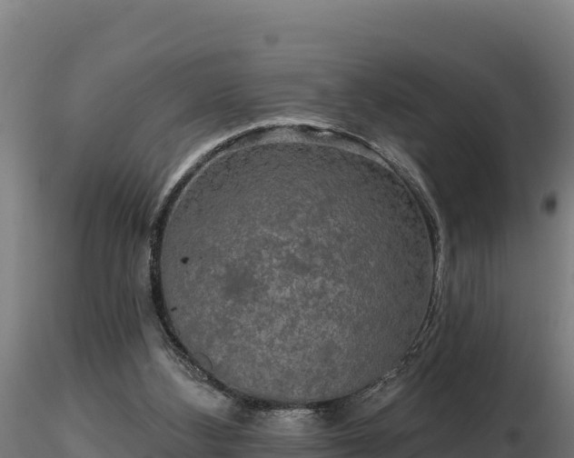 X0000116770108200912241212