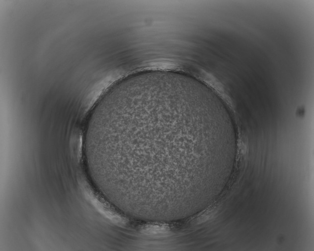 X0000116770110200912241212