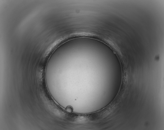 X0000116770111200912241212
