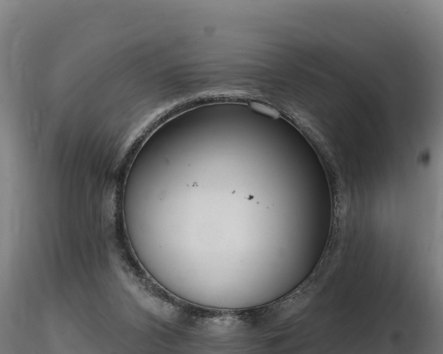X0000116770112200912241212