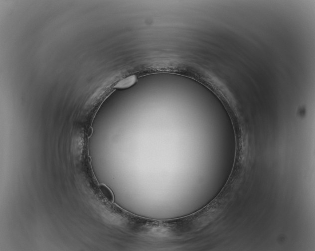 X0000116770113200912241212