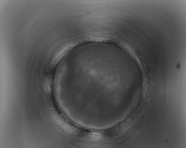 X0000116770114200912241212