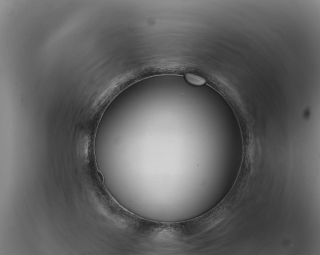 X0000116770115200912241212