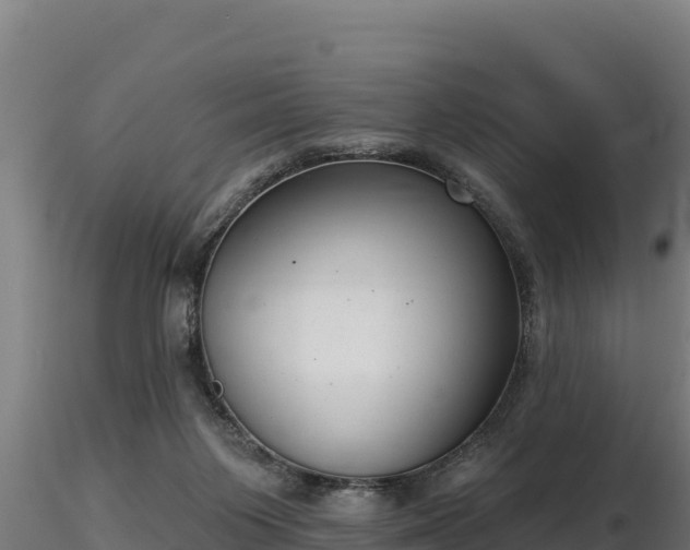 X0000116770119200912241212