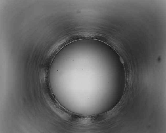 X0000116770120200912241212