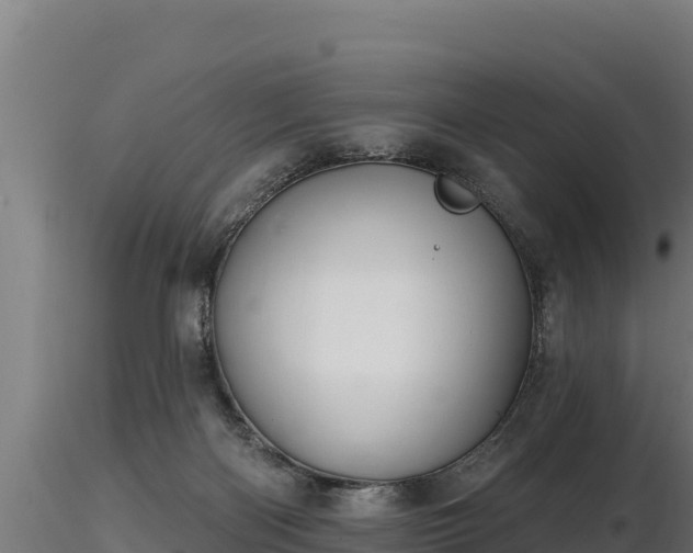 X0000116770122200912241212