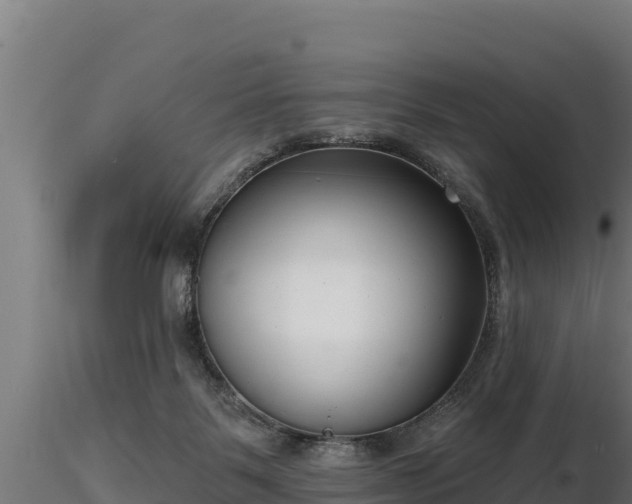 X0000116770123200912241212