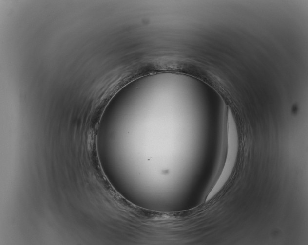 X0000116770125200912241212