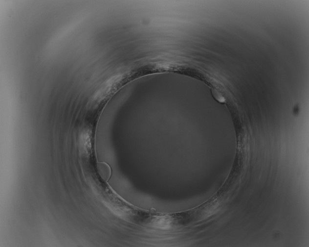 X0000116770127200912241212