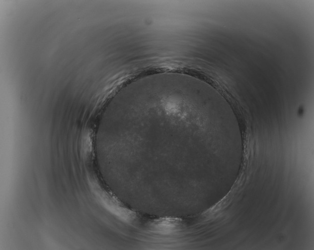 X0000116770128200912241212