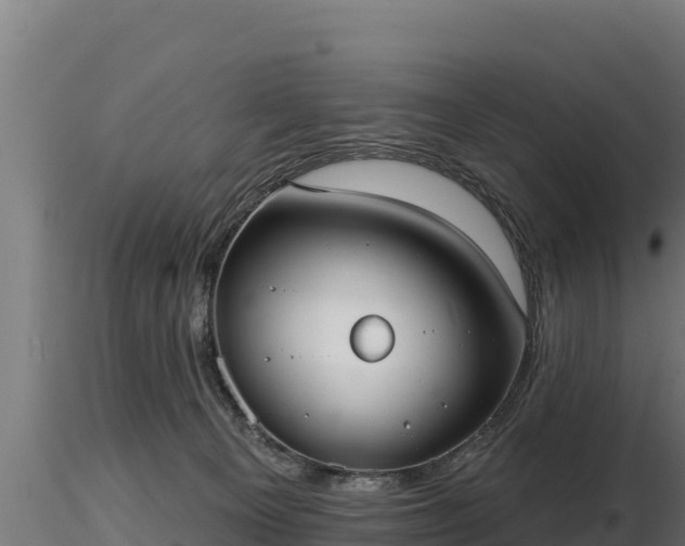 X0000116770129200912241212