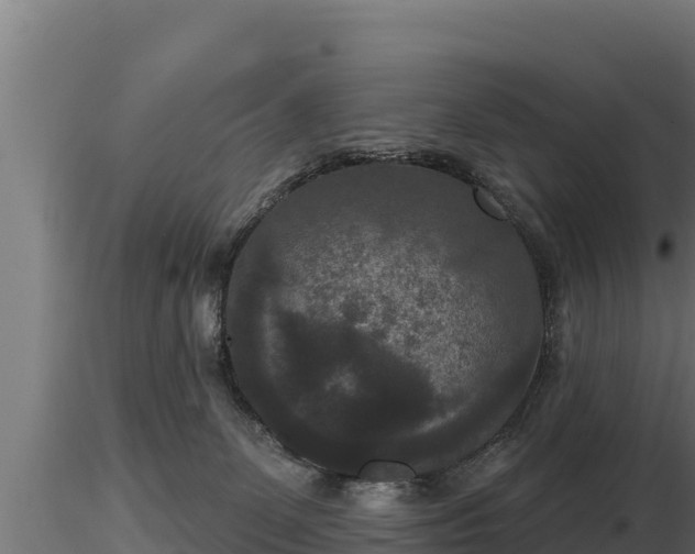 X0000116770131200912241211
