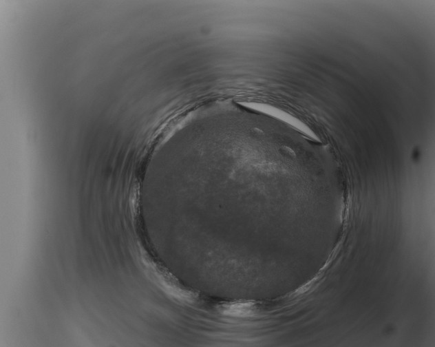 X0000116770132200912241211