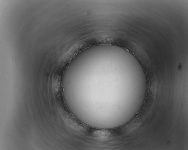 X0000116770133200912241211