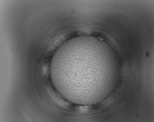 X0000116770134200912241211