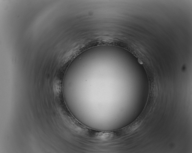 X0000116770135200912241211