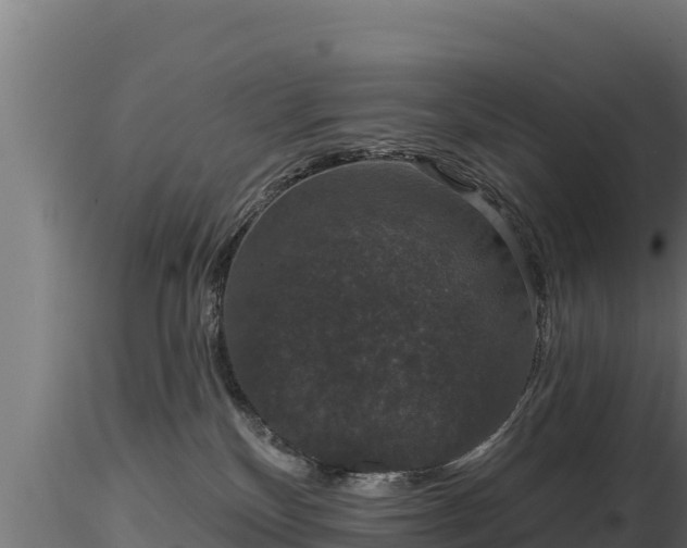 X0000116770136200912241211