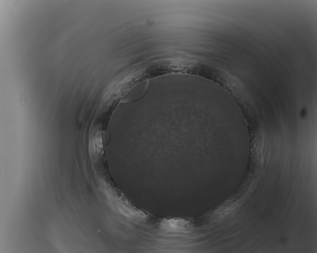 X0000116770137200912241211