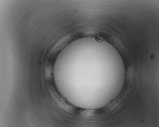 X0000116770138200912241211