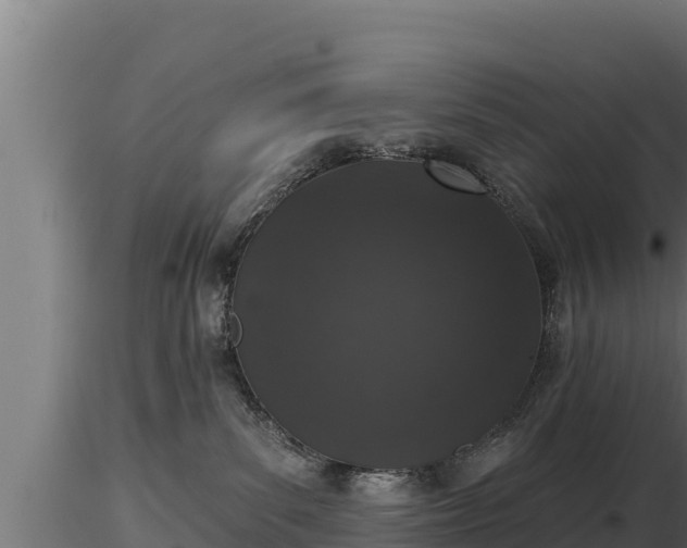 X0000116770139200912241211