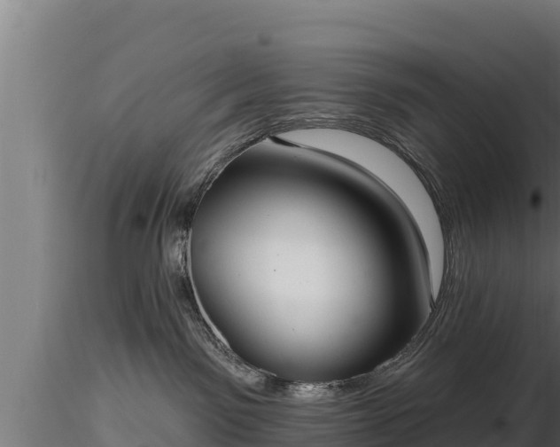 X0000116770141200912241211