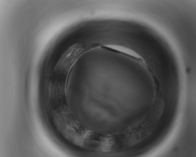 X0000116770143200912241211