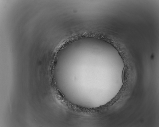 X0000116770144200912241211