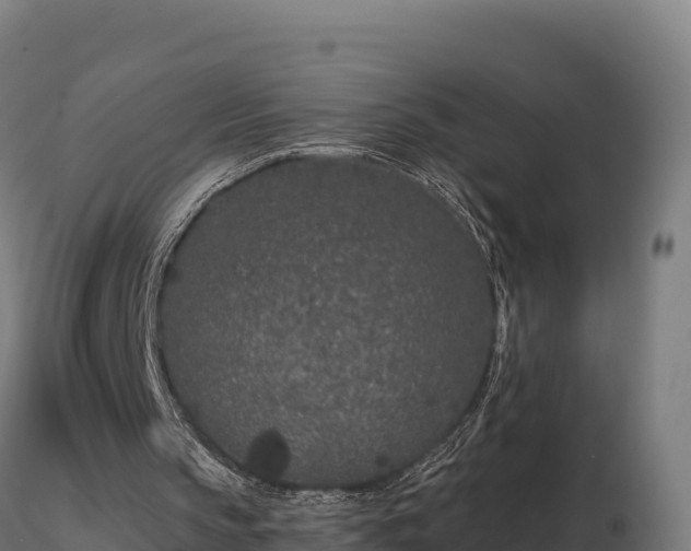 X0000116770145200912241211