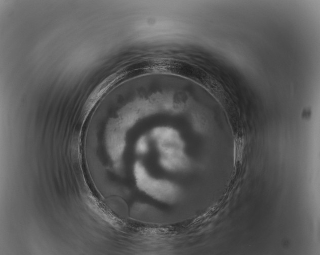 X0000116770147200912241211