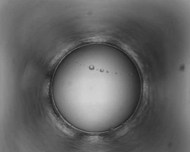X0000116770153200912241211