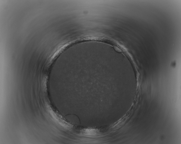 X0000116770154200912241211