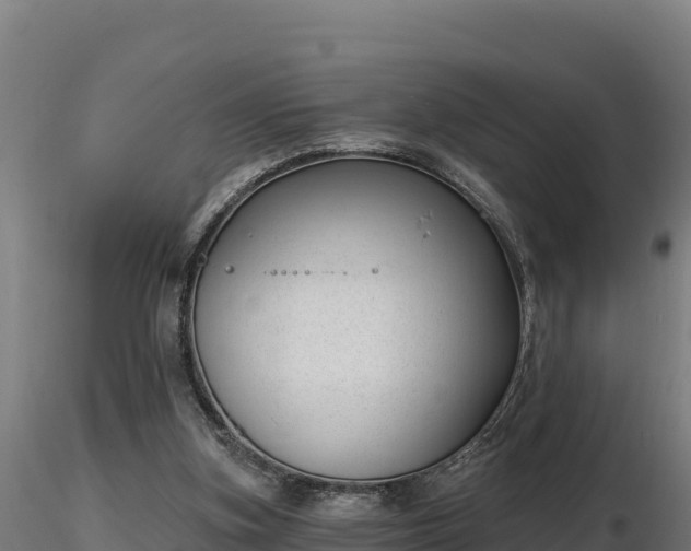 X0000116770155200912241211