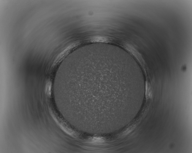 X0000116770157200912241211