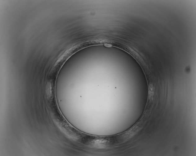 X0000116770158200912241211