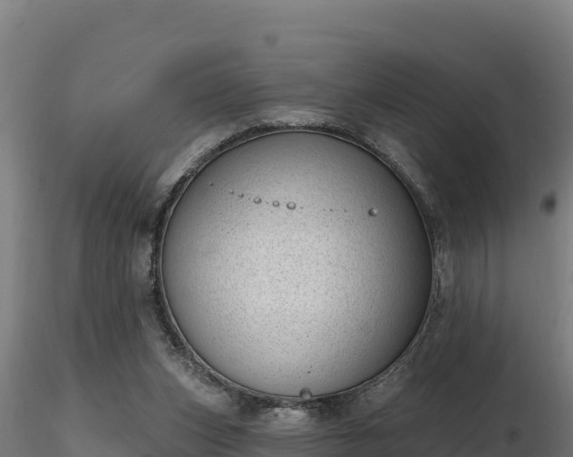 X0000116770159200912241211